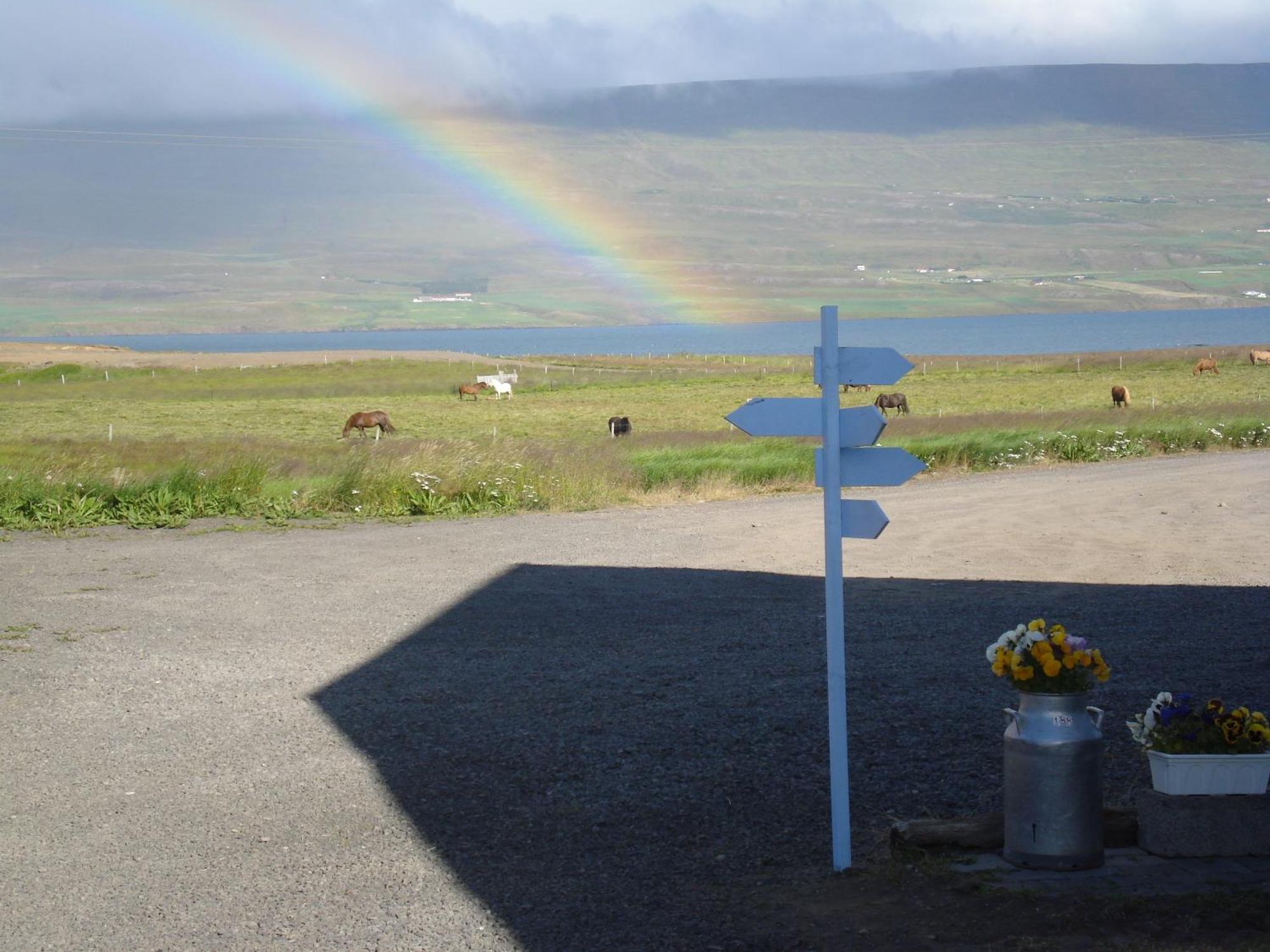 Guesthouse Petursborg Akureyri Zewnętrze zdjęcie