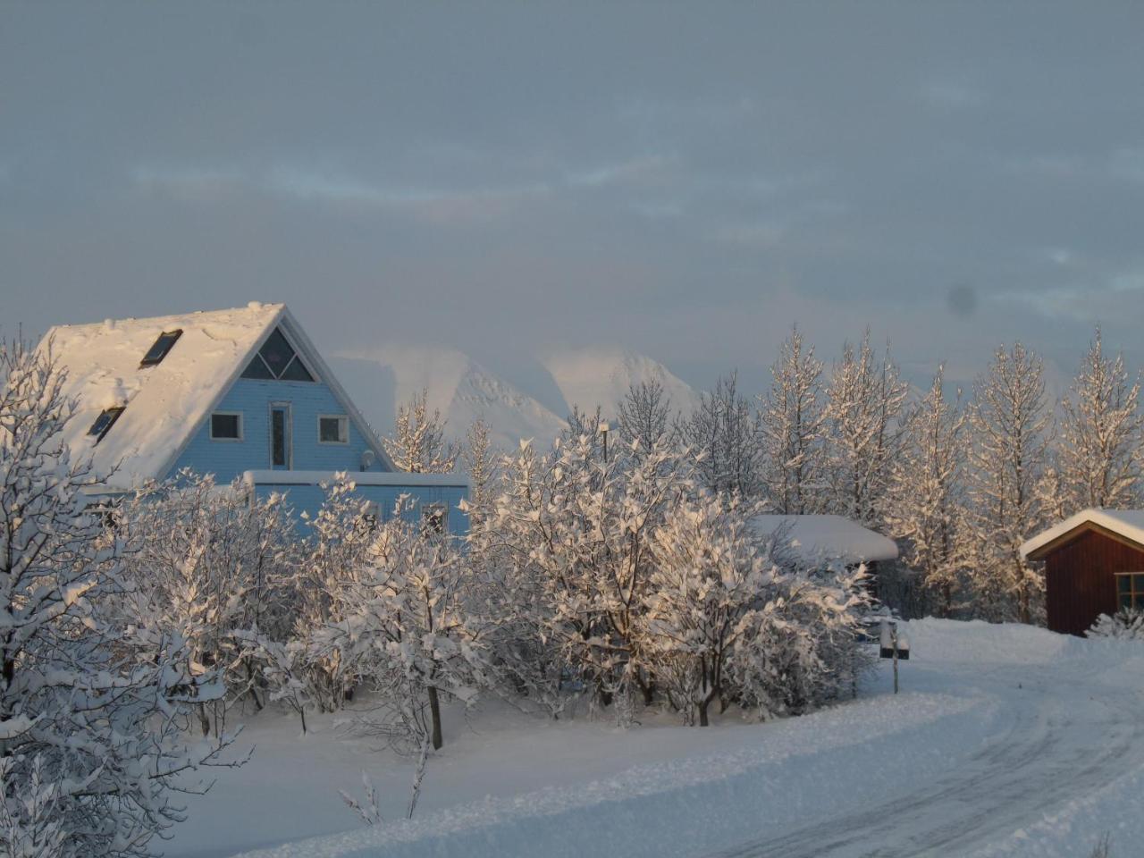 Guesthouse Petursborg Akureyri Zewnętrze zdjęcie