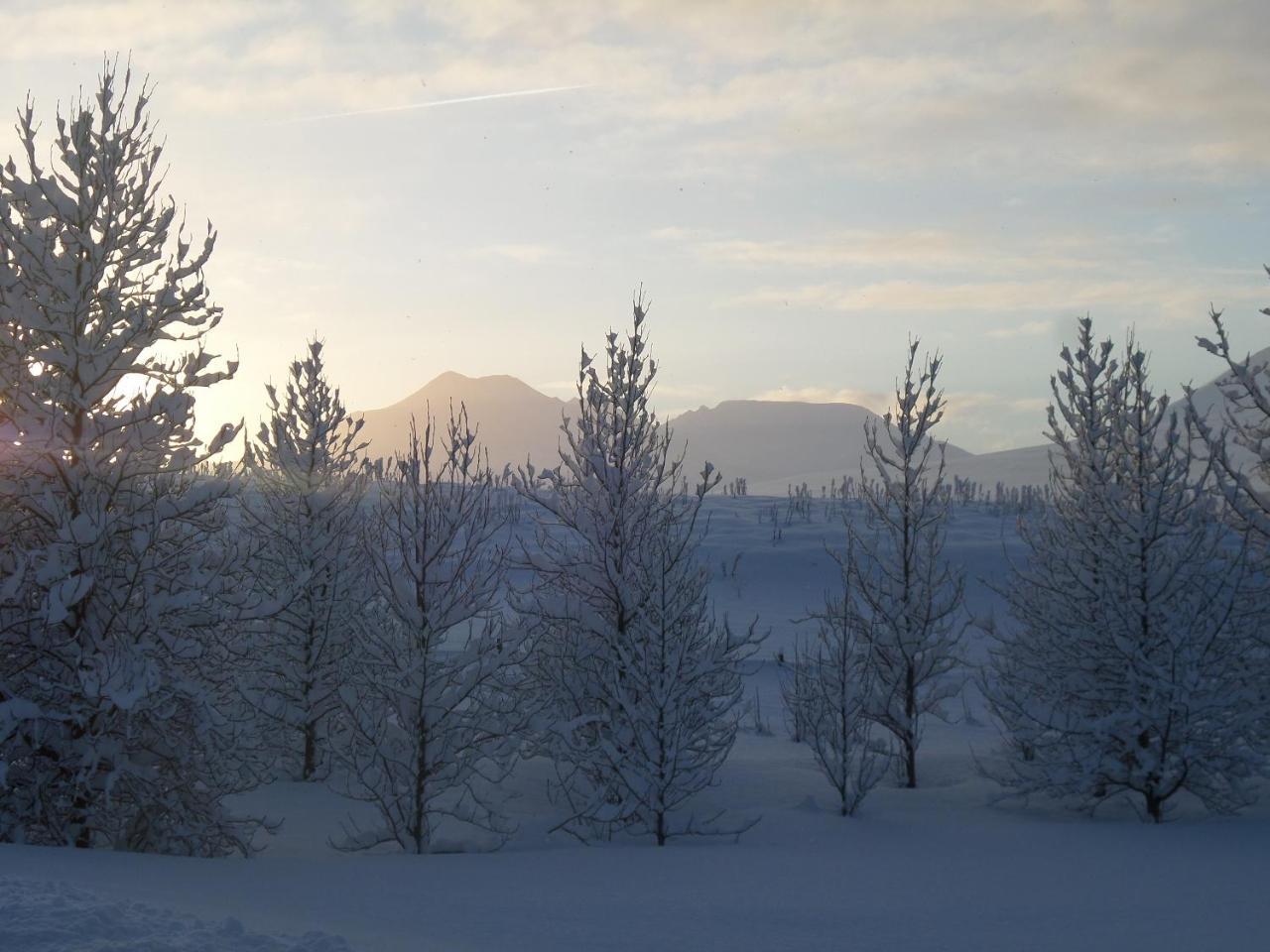 Guesthouse Petursborg Akureyri Zewnętrze zdjęcie